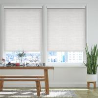 Transparent roller blinds