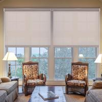 Transparent roller blinds